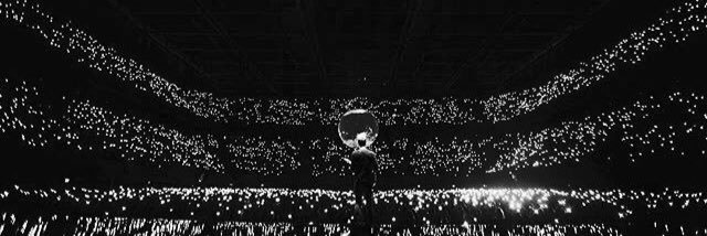 eline banner