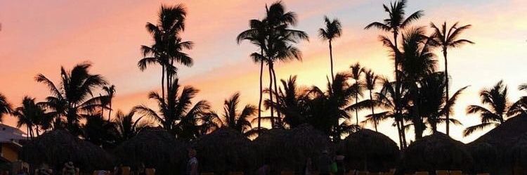 mlauraboscan's profile banner image