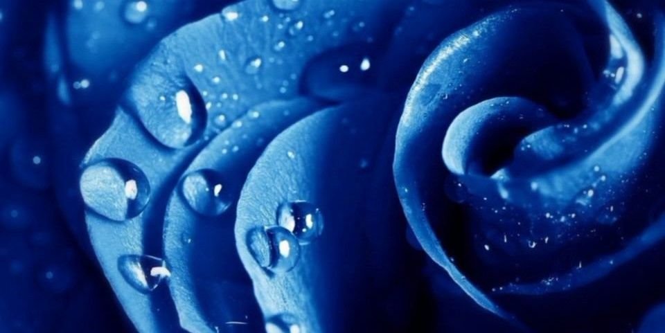 zero___rei's profile banner image