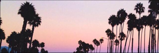 mattsunique's profile banner image