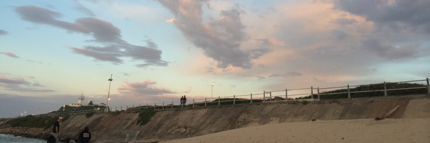 Alana Downie banner