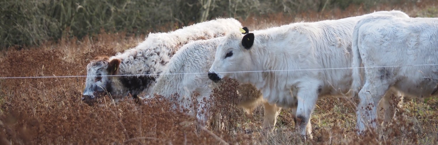 Great Cotmarsh Farm banner