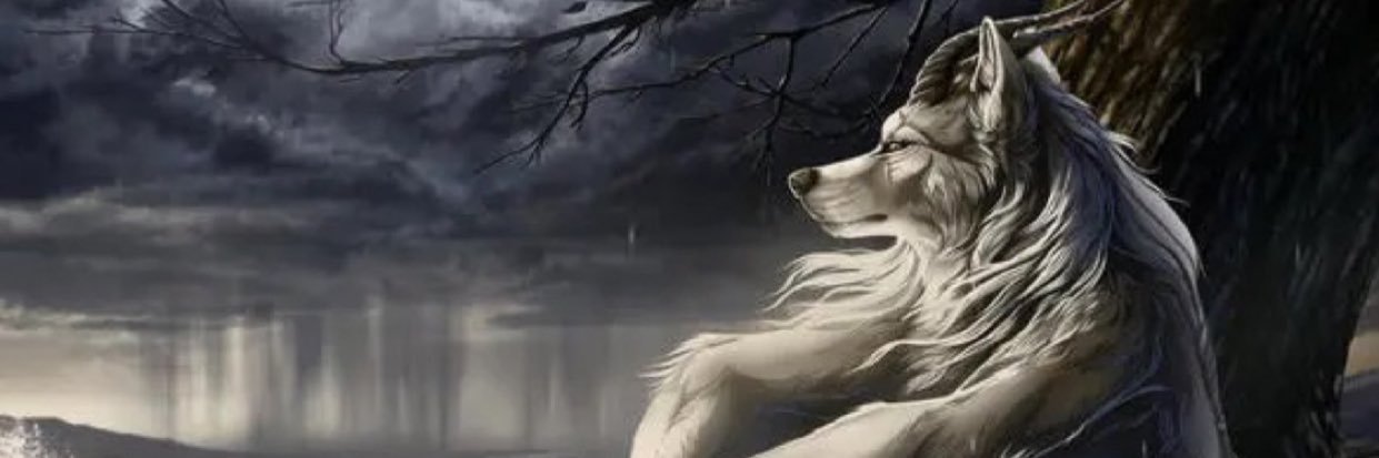 lulu banner