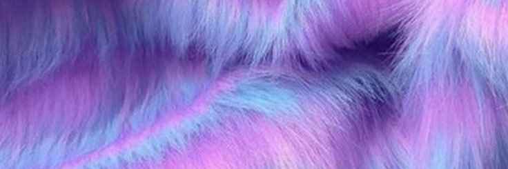 jodlm2's profile banner image