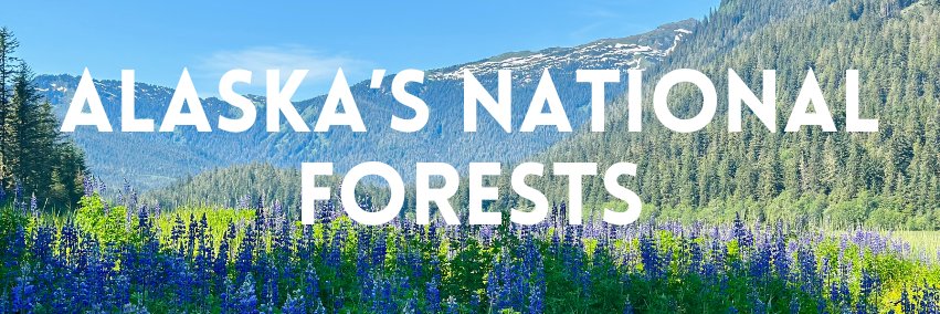 U.S. Capitol Christmas Tree banner
