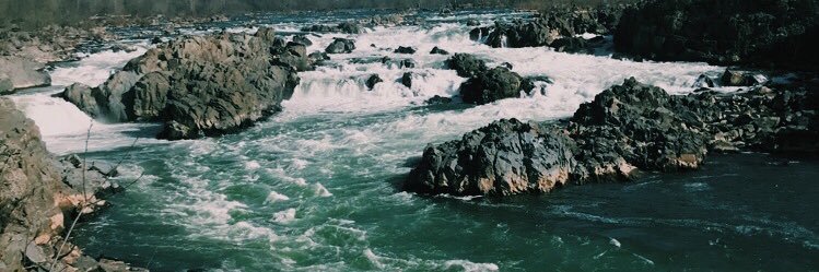 emilyrayb0nn's profile banner image