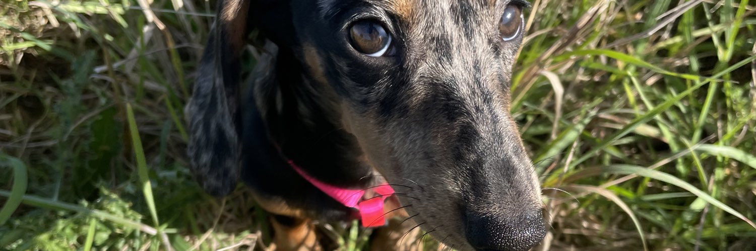 olivphia's profile banner image