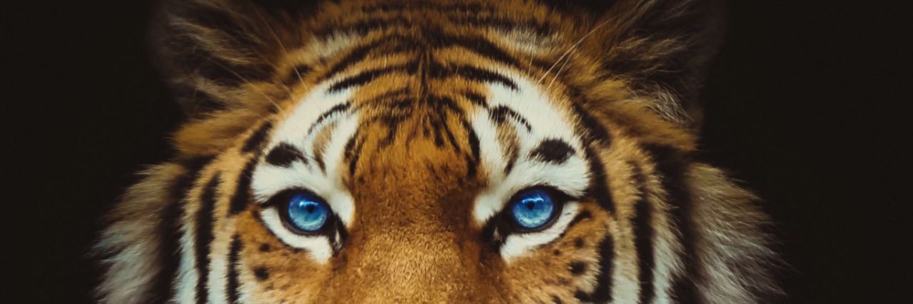 cael1301's profile banner image