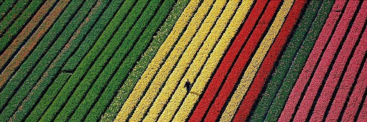 CucumberDream ❌ banner