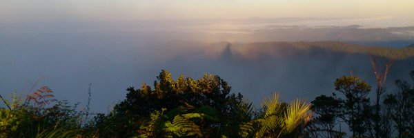 OxfordEcosystem Profile Banner