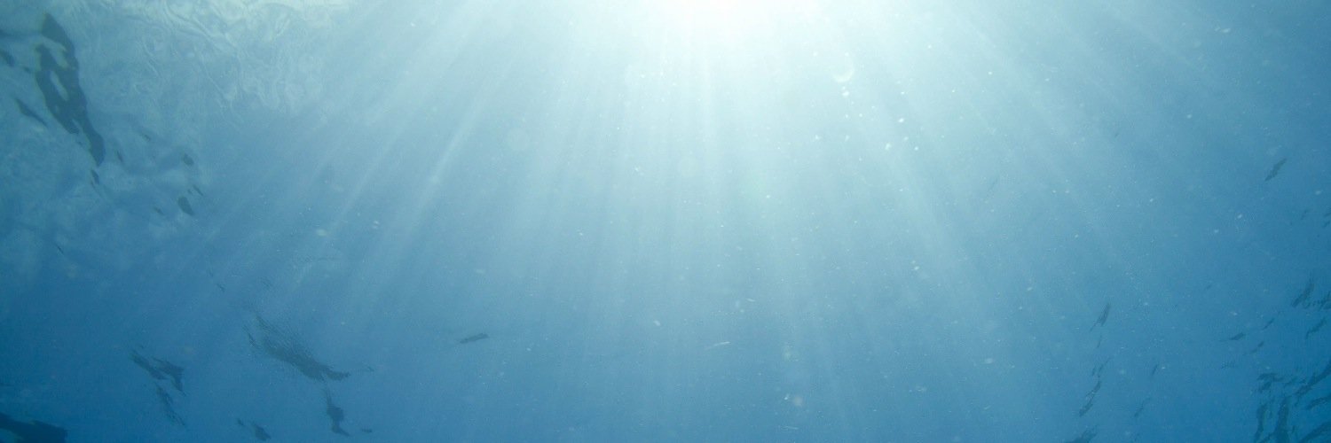 Ponta Shark Diaries banner