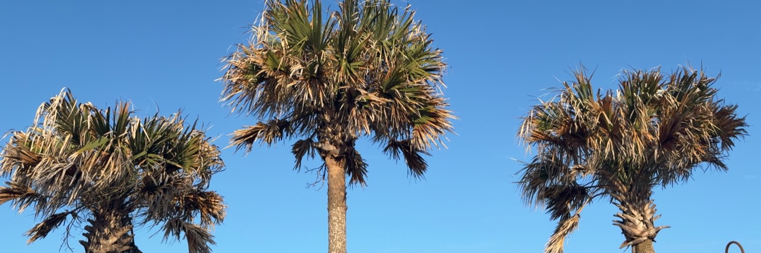 RealLGP's profile banner image