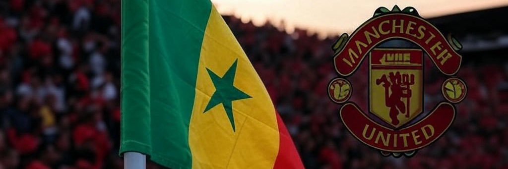 diopsarr88's profile banner image