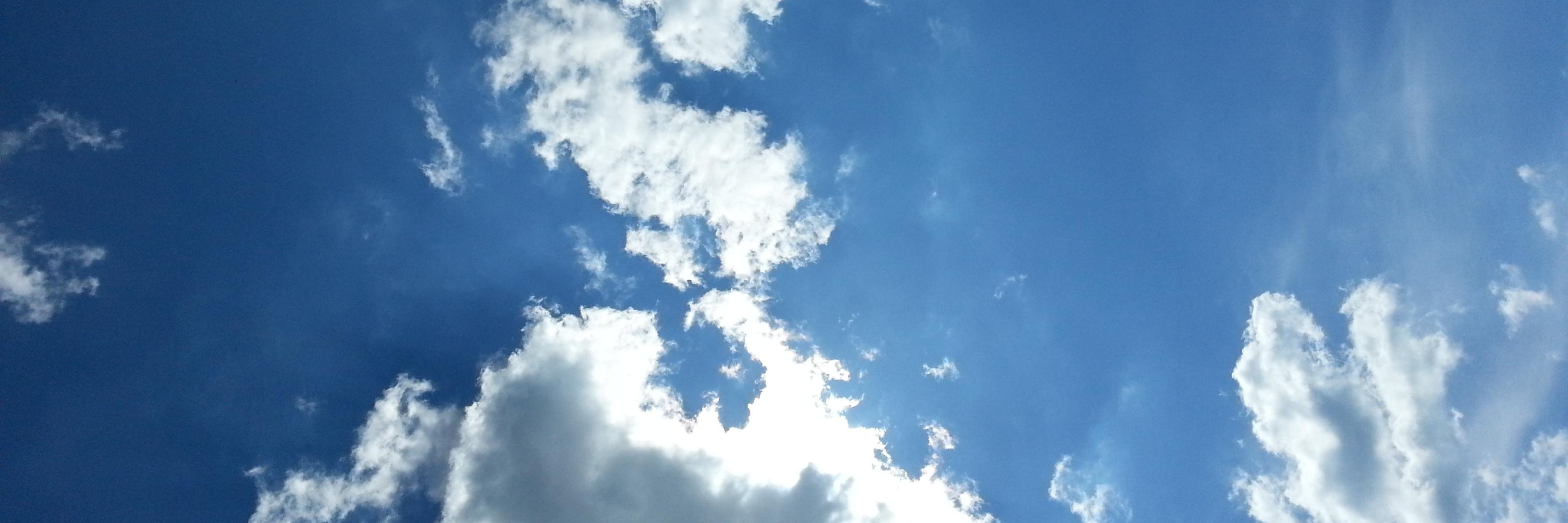hzealey's profile banner image