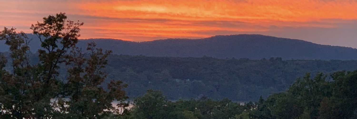 MsNuss's profile banner image