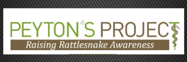 PeytonsProject1's profile banner image