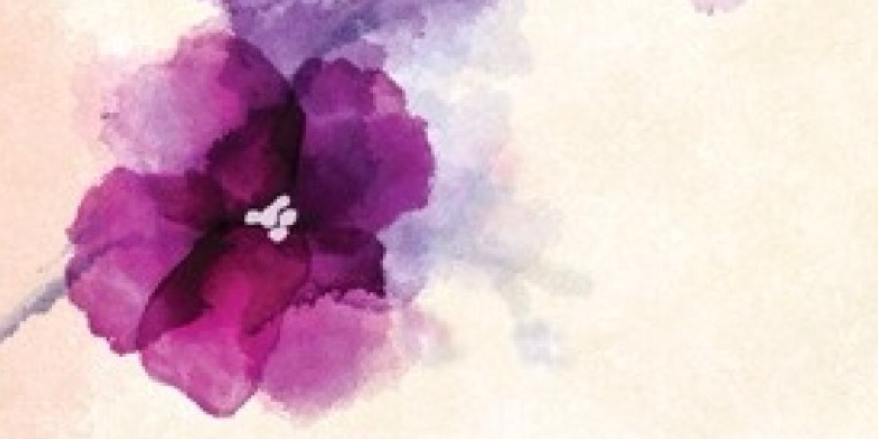 ledylili's profile banner image
