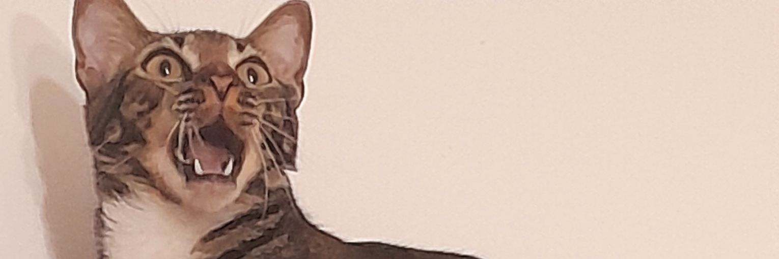 JaneFelipeRocha's profile banner image