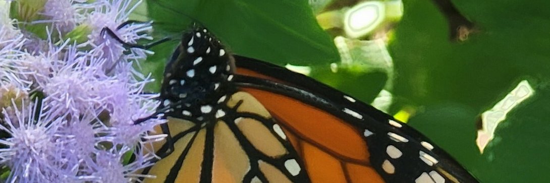 Major_TomSchick's profile banner image