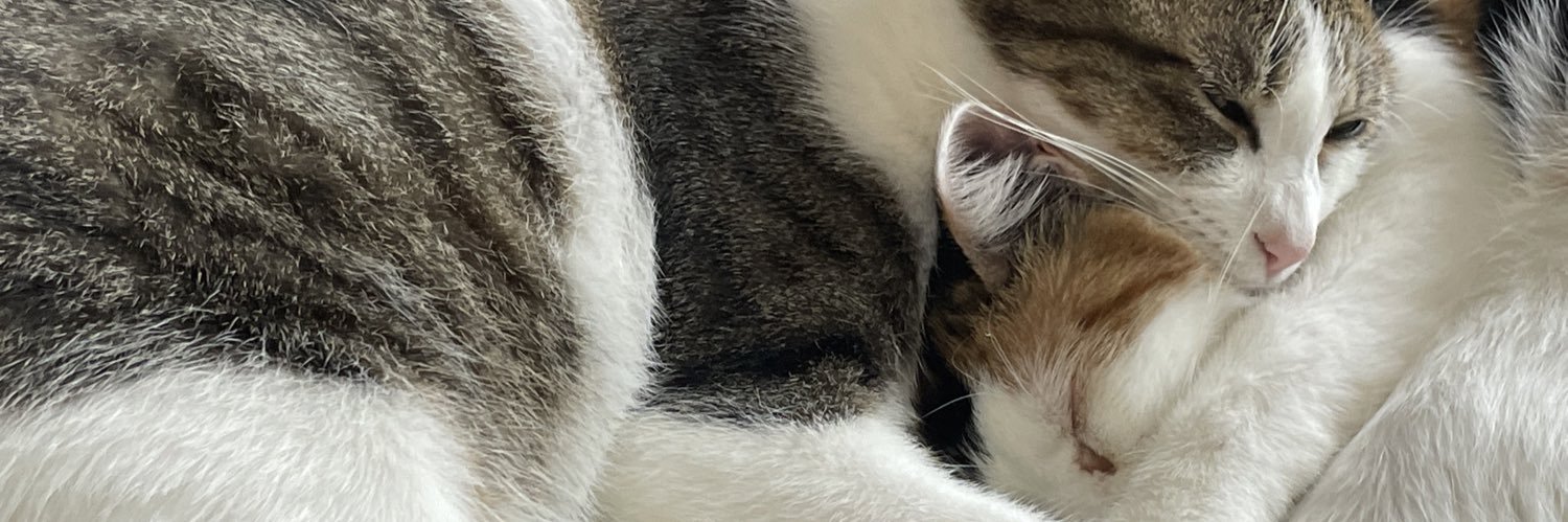 cherry924love's profile banner image