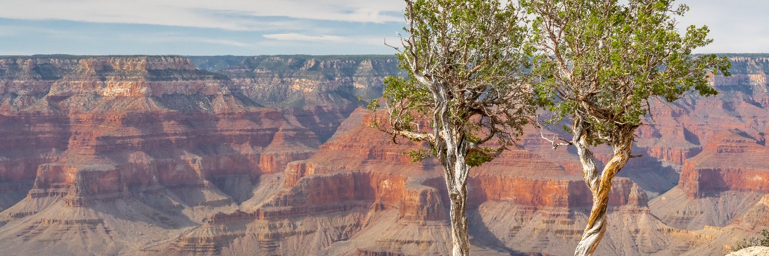 David Englund 🇺🇸 banner
