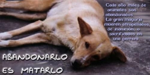 Rufopato banner