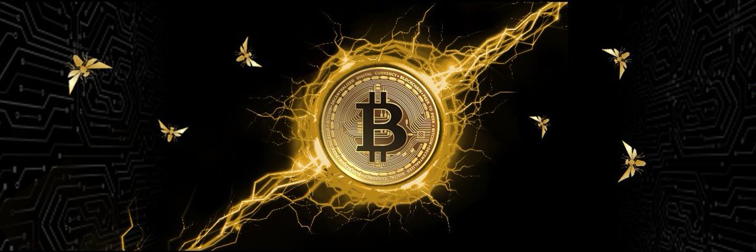 Crypto Giveaways🔺 banner