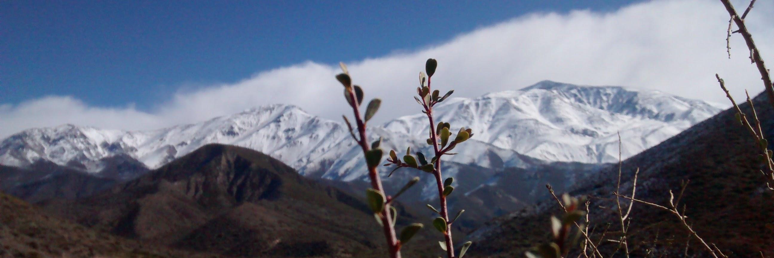 Inge_Sebas's profile banner image
