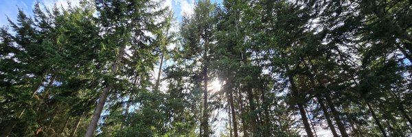 MiddletonPlays Profile Banner