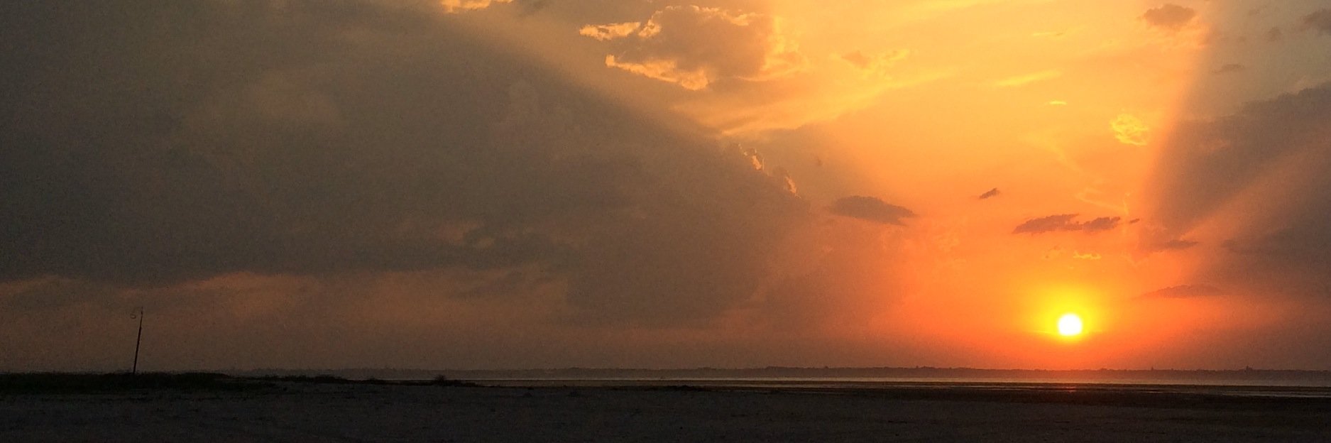 Jille van der Weerd banner