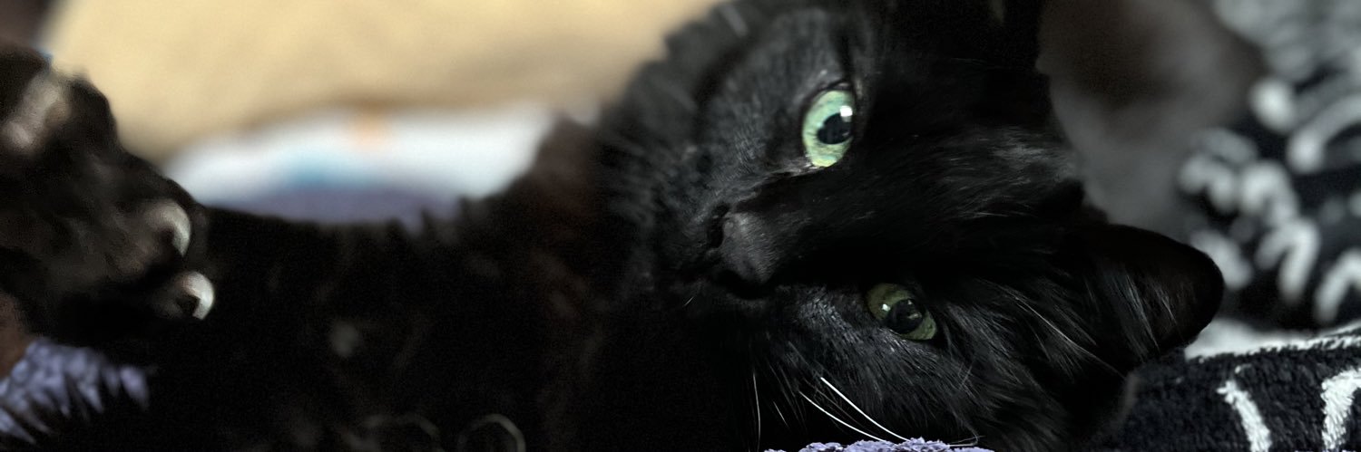 TheRealCLJC19's profile banner image
