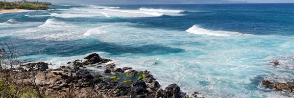 SchenoneMariana Profile Banner