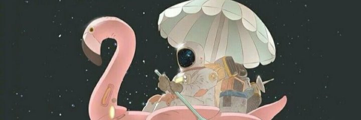 ninuuuu93's profile banner image