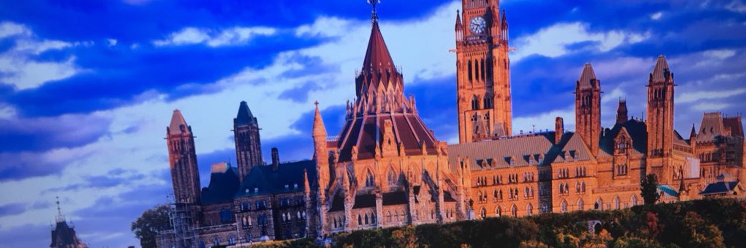 متعب الفيصل banner