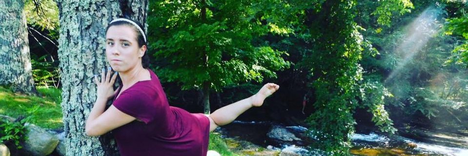 SarahDancerVT's profile banner image