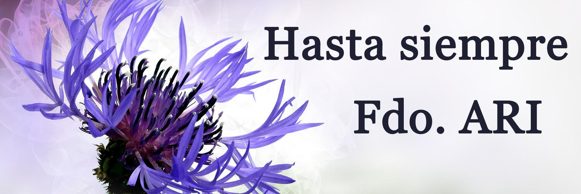 AutorasARI's profile banner image
