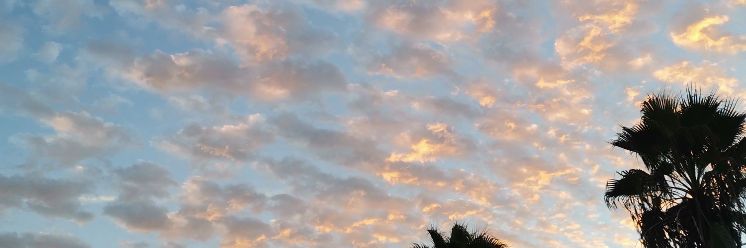 dulcearmentaa's profile banner image