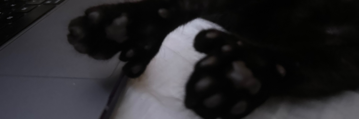 bebop_wheu's profile banner image