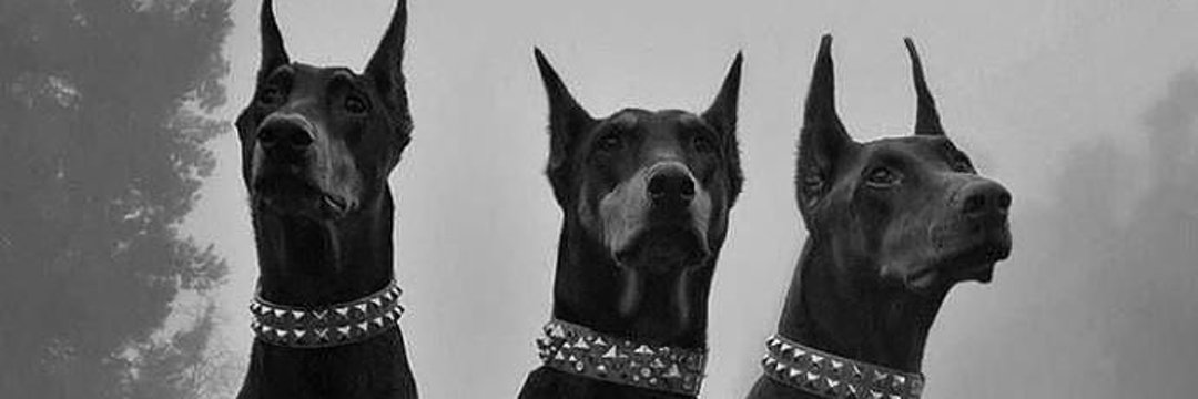 ✦ Guinho banner