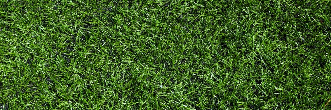 ProjFrontYard's profile banner image