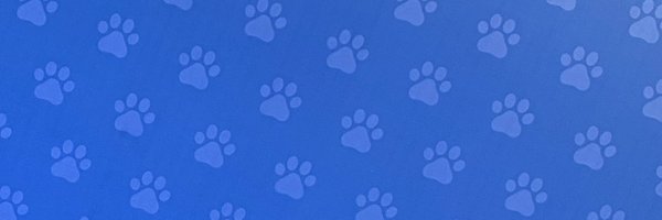 bcgesink Profile Banner