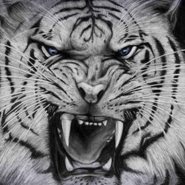 satria_ga's profile banner image