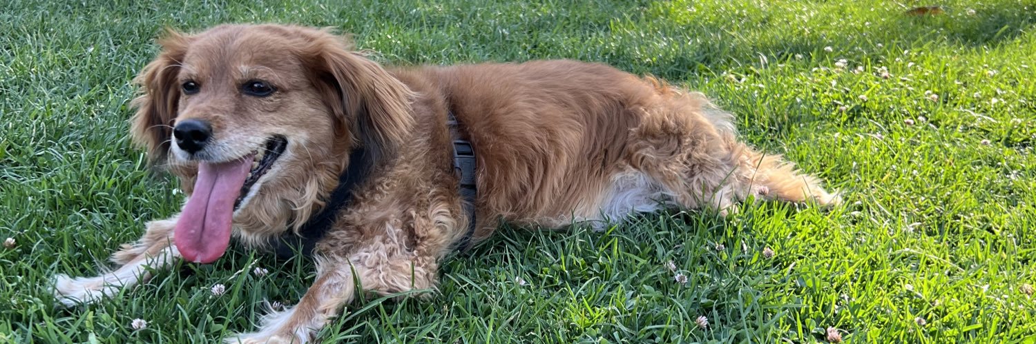 WillPunker ウイジアムス banner