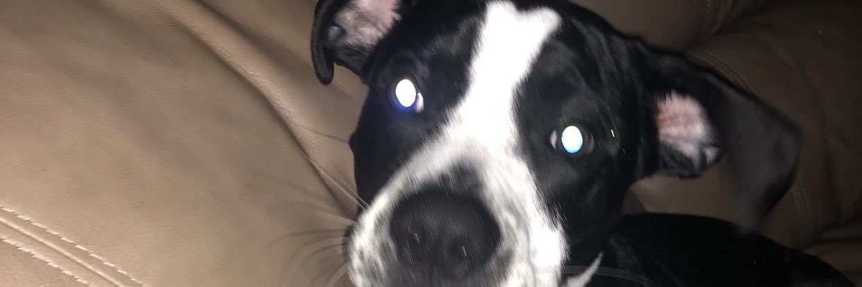TooLitForHoes's profile banner image