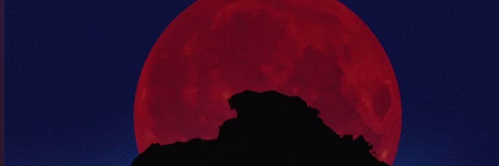yannnn_0's profile banner image