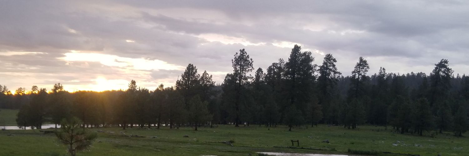 ShaniaPinto's profile banner image