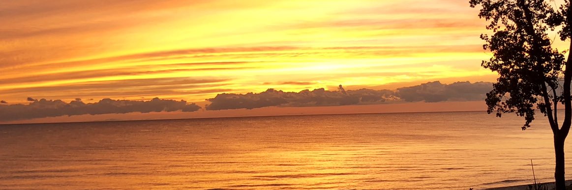 Carrie Malnor banner