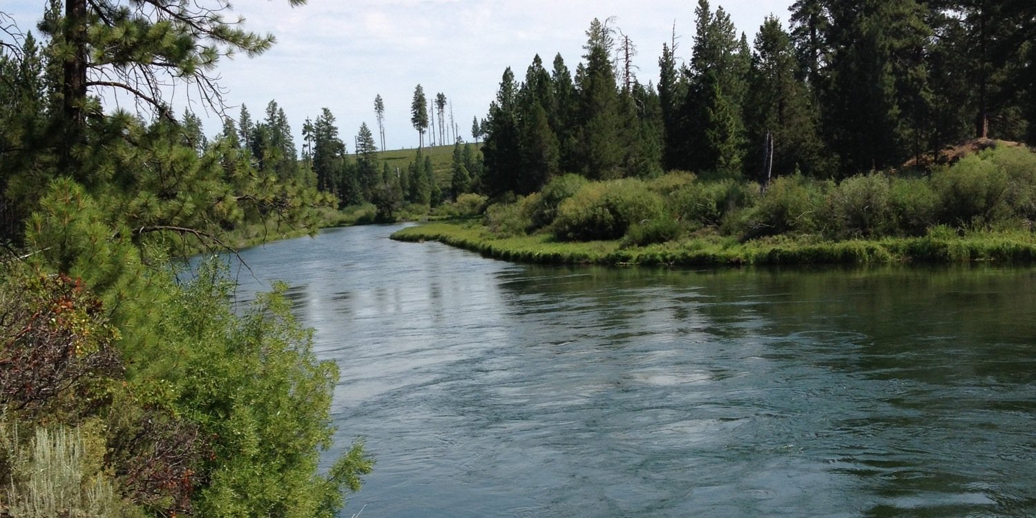 bmacinnes1's profile banner image