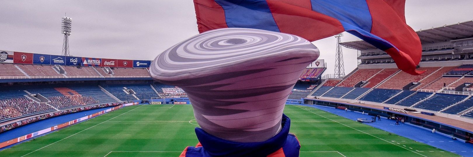 Carpincho Cerrista banner