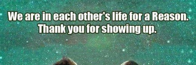 DawnHaddock@LCPS-EME banner